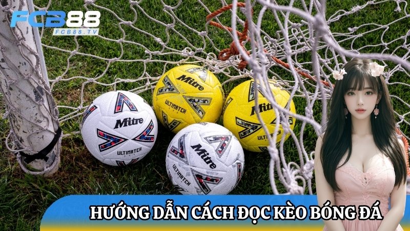 Hướng dẫn cách đọc kèo bóng đá FCB88